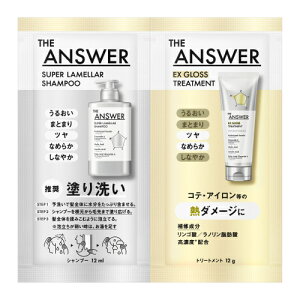 THE@ANSWER@X[p[Vv[&EXOXg[gg@FOR@HEAT@DAMAGE@s[@24ml(12ml+12g)
