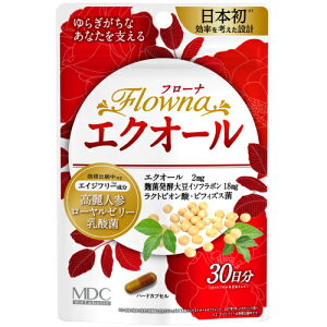 t[i@GNI[@30JvZi30j񂹏i@ԕis