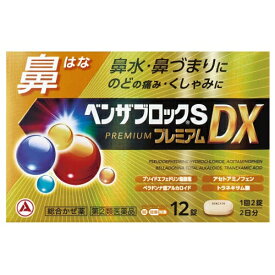 【第(2)類医薬品】ベンザブロックS　プレミアムDX　12錠【セルフメディケーション税制対象】