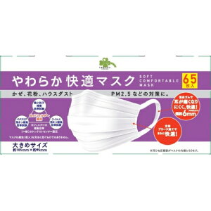 炵Y@炩K}XNa@傫߁@65