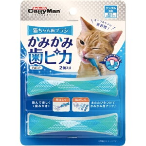 �L���e�B�[�}���@�L����񎕃u���V�@���݂��ݎ��s�J