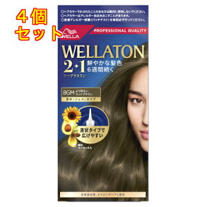 y򕔊OizEGg[@c[vXi2+1jt^Cv@8GM@薾邢}bguE×4񂹏i@ԕis