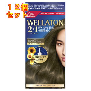 y򕔊OizEGg[@c[vXi2+1jt^Cv@8GM@薾邢}bguE×12񂹏i@ԕis