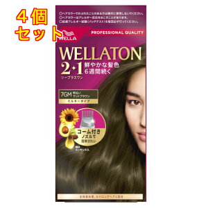 y򕔊OizEGg[@c[vXi2+1j~L[EX@7GM@邢}bguE×4񂹏i@ԕis