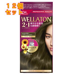 y򕔊OizEGg[@c[vXi2+1j~L[EX@7GM@邢}bguE×12񂹏i@ԕis