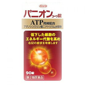 【第2類医薬品】パニオンコーワ錠　90錠