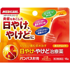 【第2類医薬品】メディケア　パンパス軟膏　15g