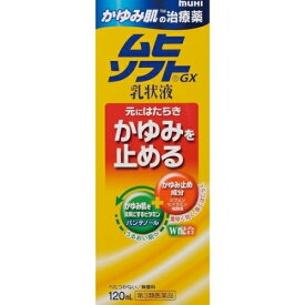 【第3類医薬品】かゆみ肌の治療薬　ムヒソフトGX乳状液　120ml【セルフメディケーション税制対象】