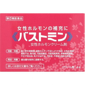 【第(2)類医薬品】バストミン　4g