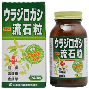 EWKV@Η@240
