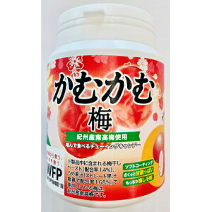 かむかむ梅 ボトルの人気商品・通販・価格比較 - 価格.com