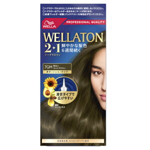 y򕔊OizEGg[@c[vXi2+1jt^Cv@7GM@邢}bguE񂹏i@ԕis