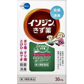 【第3類医薬品】イソジンきず薬　30ml