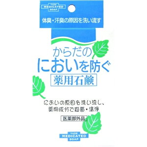 y򕔊Oiz[@炾̂ɂhpΌ@110g