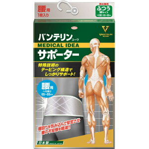 興和 バンテリンコーワサポーター 腰用 24530 シャイニンググレー ふつう M (65-85cm)