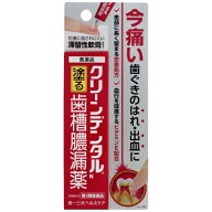 【第3類医薬品】クリーンデンタルN　歯槽膿漏薬　16g