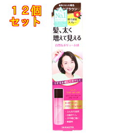 レディース　トップシェード　スプレーウィッグ　自然になじむ褐色　100g×12個
