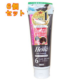 テンスター ヘナ カラートリートメント ダークブラウン 250g×6個【6】