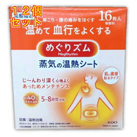 花王　めぐりズム　蒸気の温熱シート　16枚×12個