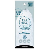 リッチホイップ　泡立てネット