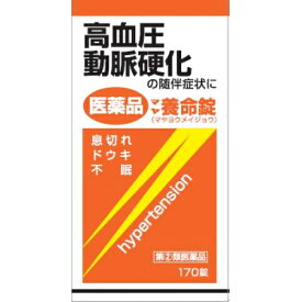 【第(2)類医薬品】養命錠　170錠