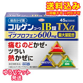 ゆうパケット）【第(2)類医薬品】コルゲンコーワIB錠TXα　45錠【セルフメディケーション税制対象】