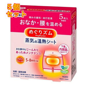 ԉ@߂Y@C̉MV[g@̓ʂɓ\^Cv@5×5