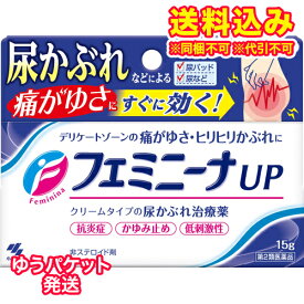 ゆうパケット）【第2類医薬品】小林製薬 フェミニーナUP 　15g【セルフメディケーション税制対象】