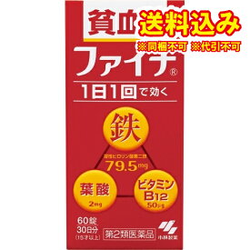 定形外）【第2類医薬品】ファイチ　60錠