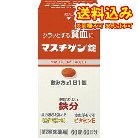 定形外）【第2類医薬品】マスチゲン　60錠