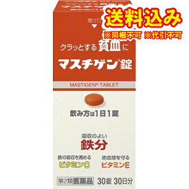 定形外）【第2類医薬品】マスチゲン　30錠