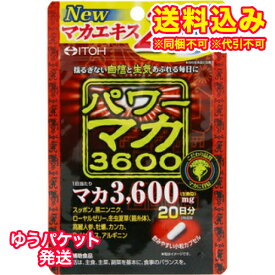 ゆうパケット）井藤漢方製薬　パワーマカ3600　40粒