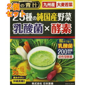 25種の純国産野菜　乳酸菌×酵素　30袋×2個
