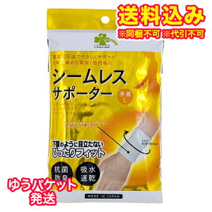 䂤pPbgj炵Y@V[XT|[^[@p@Eʁ@L@2