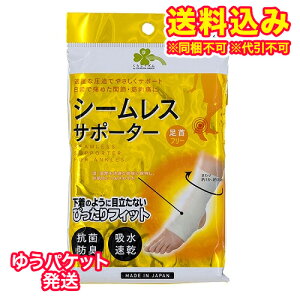 䂤pPbgj炵Y@V[XT|[^[@p@Eʁ@t[@1