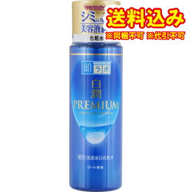 定形外）【医薬部外品】ロート製薬　肌ラボ　白潤プレミアム薬用浸透美白　化粧水　170ml