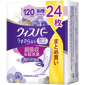 EBXp[@S@eʁ@120cc@24