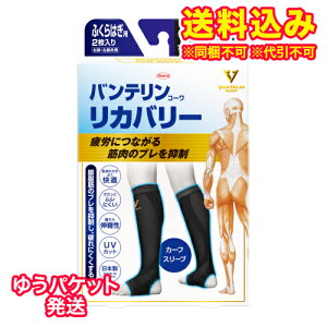 䂤pPbgjoeR[@Jo[@J[tX[u@ӂ͂p@Eʁ@RXubN@傫߁@L@2