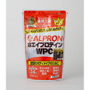ALPRON　WPCチョコレート風味　900g※取り寄せ商品　返品不可