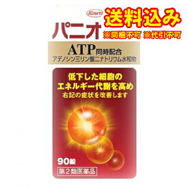 定形外）【第2類医薬品】パニオンコーワ錠　90錠