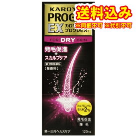 定形外）【第3類医薬品】カロヤンプログレEX　ドライスキン　120mL