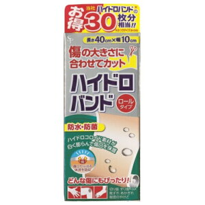 TCLEt@[}@nChoh@[^Cv@40cm×10cm@1