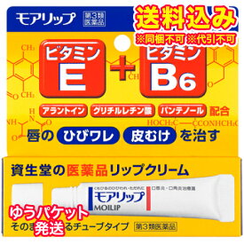 ゆうパケット）【第3類医薬品】資生堂　モアリップN　8g
