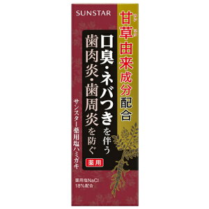 【医薬部外品】サンスター 薬用塩ハミガキ 85g※取り寄せ商品 返品不可