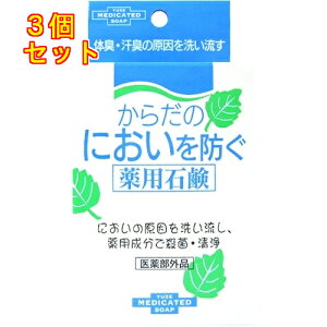 y򕔊Oiz[@炾̂ɂhpΌ@110g×3