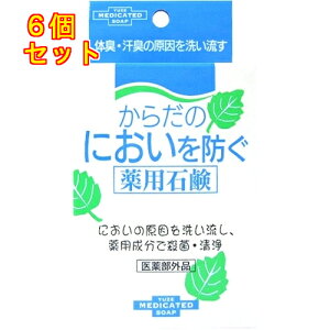 y򕔊Oiz[@炾̂ɂhpΌ@110g×6