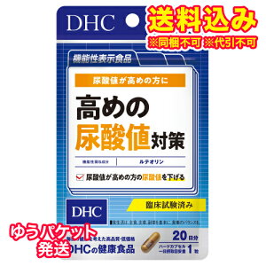 䂤pPbgjDHC@߂̔A_l΍@20i20j񂹏i@ԕis