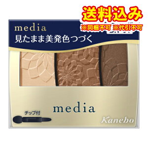 䂤pPbgjfBA@OfJ[ACVhEN@BR-01@3.1g