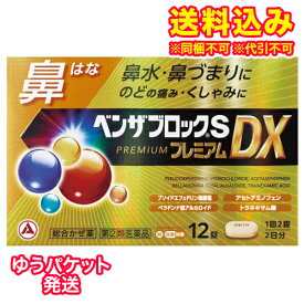 ゆうパケット）【第(2)類医薬品】ベンザブロックS　プレミアムDX　12錠【セルフメディケーション税制対象】