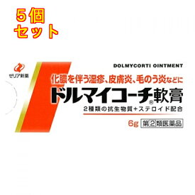 【第(2)類医薬品】ドルマイコーチ軟膏　6g×5個